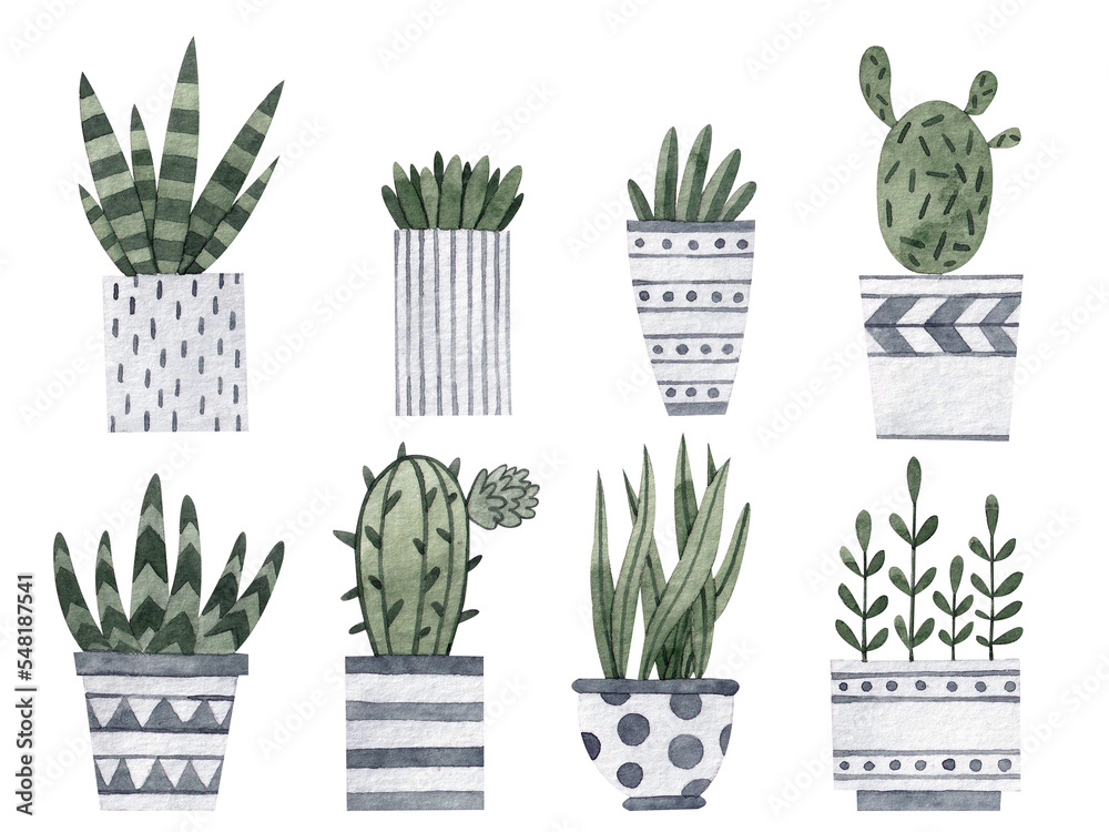 A set with different plants in pots. Watercolor illustration. Nature. Flowers. Eco. Natural. Art. Design. Handmade work. Collection. Botanical. Green. Flora. Cute. Gardening. Cacti.
