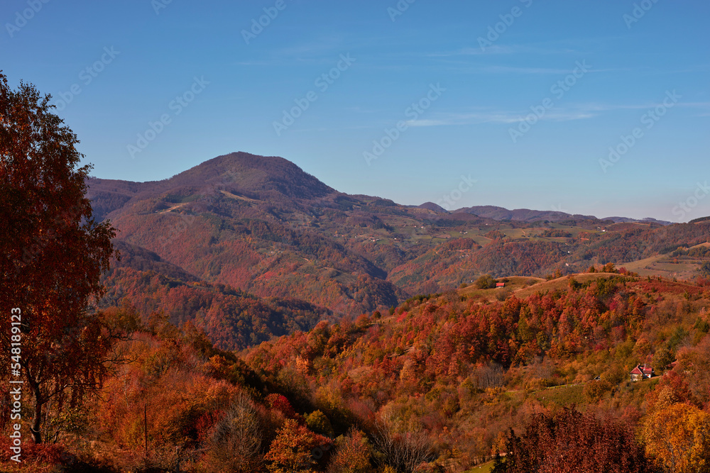 Autumn color trees and countryside landscape. Autumn color trees and countryside landscape.