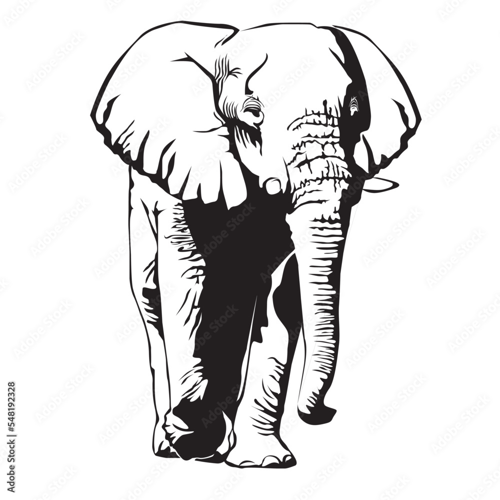 laufender Elefant als Vektoren