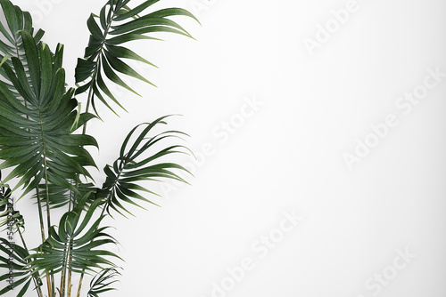 Wall mockup palm tree leaves