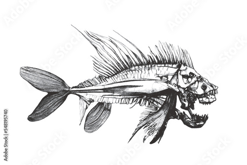 Fish skeleton. Fantastic Se...