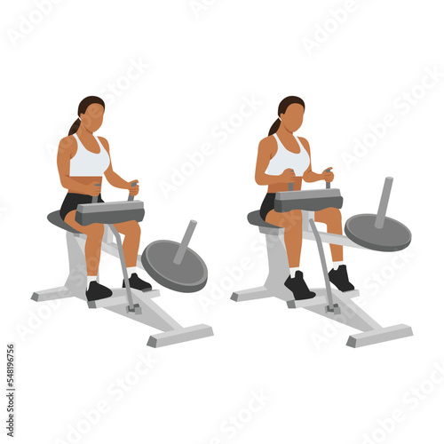Woman doing exercise using gym equipment. Seated calf machine raises. Flat vector illustration isolated on white background
