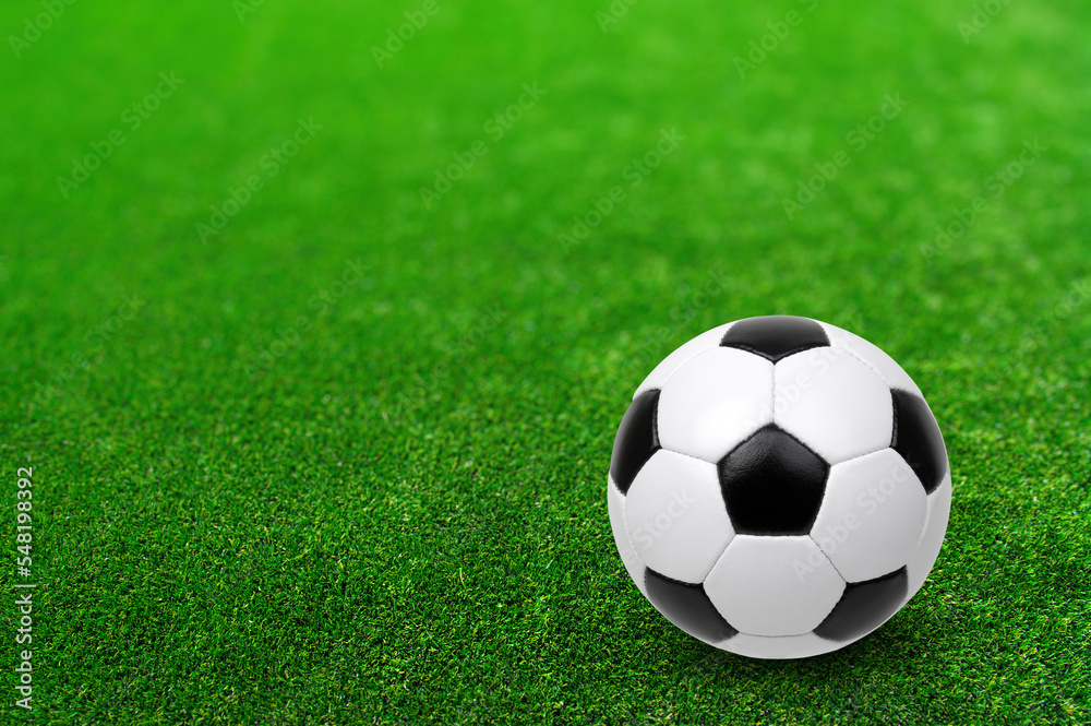 Fototapeta premium Soccer ball on the green grass