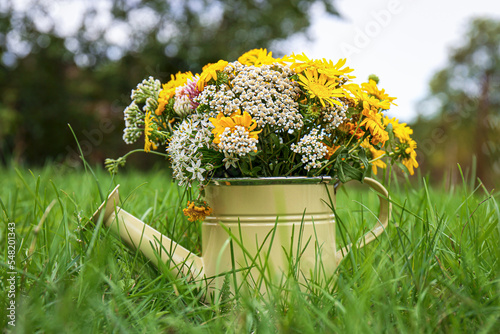 Pale yellow watering can with beautiful flowers on green grass outdoors