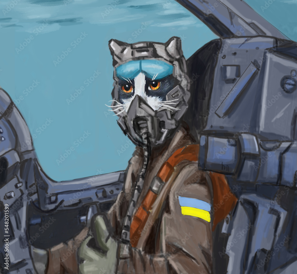 Ukrainian cat pilot