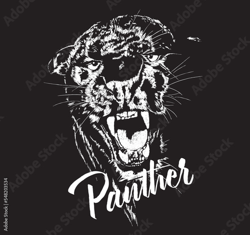 Black panther Creative vector illustration black and white