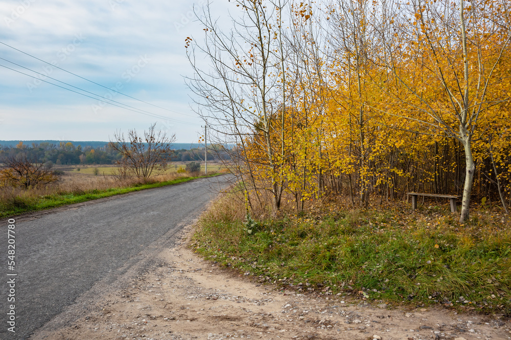Road in the countryside on an autumn day. Wooden bench under a tree with yellow foliage