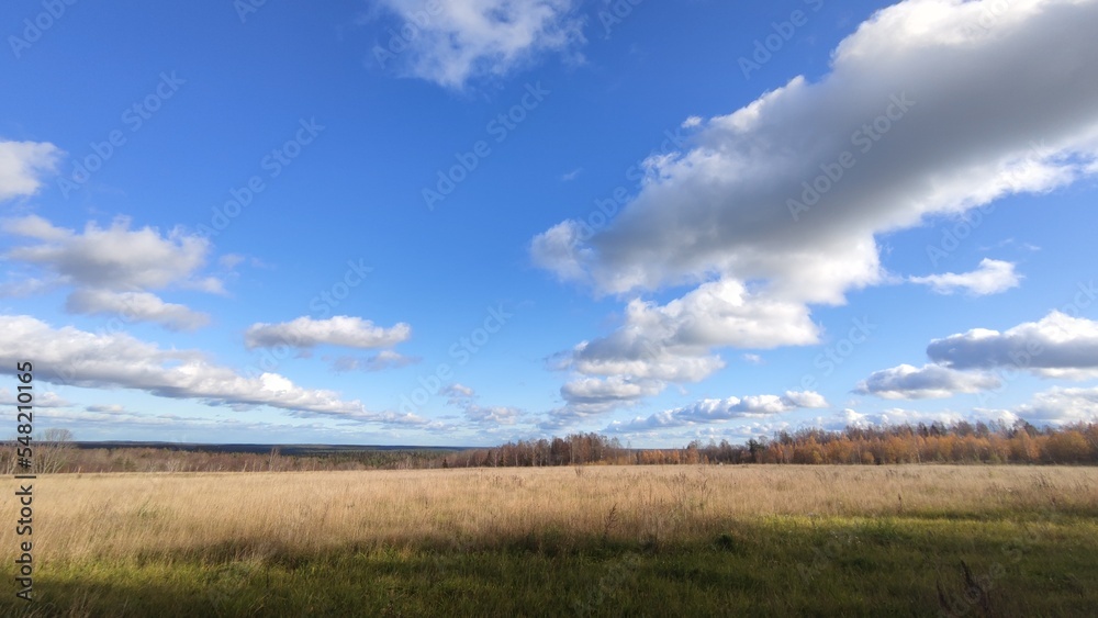 Clouds hang over the field in even rows. On an autumn sunny day, cumulus clouds hang over a distant forest and a meadow with yellowed grass. The White Clouds lined up in long, even rows.