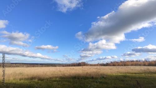 Clouds hang over the field in even rows. On an autumn sunny day  cumulus clouds hang over a distant forest and a meadow with yellowed grass. The White Clouds lined up in long  even rows.