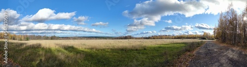 Clouds hang over the field in even rows. On an autumn sunny day  cumulus clouds hang over a distant forest and a meadow with yellowed grass. The White Clouds lined up in long  even rows.