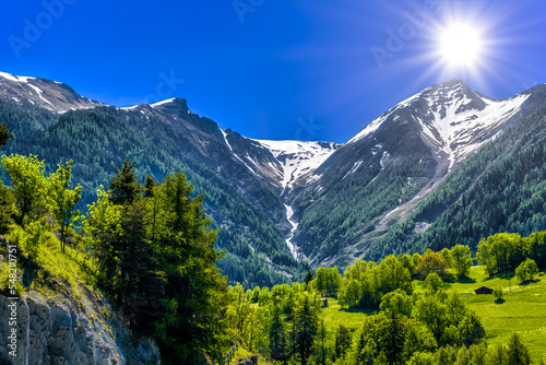 Swiss Alps mountains with trees  Moerel  Filet  Oestlich Raron  Wallis Valais Switzerland