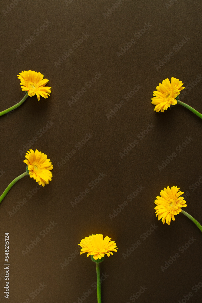 Obraz premium 꽃과 카피공간