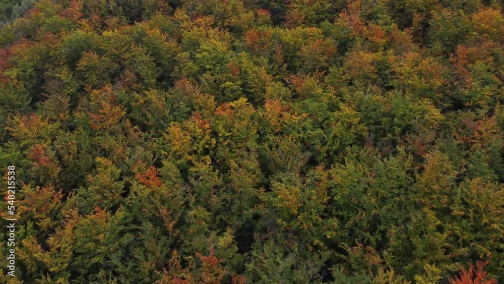 View of the Autumn deciduous forest playing with all the colours of October and November. A breathtaking fairy tale from mother nature. Yellow, green, orange, red all in one place. Beskydy, Czech repu View of the Autumn deciduous forest playing with all the colours of October and November. A breathtaking fairy tale from mother nature. Yellow, green, orange, red all in one place. Beskydy, Czech repu