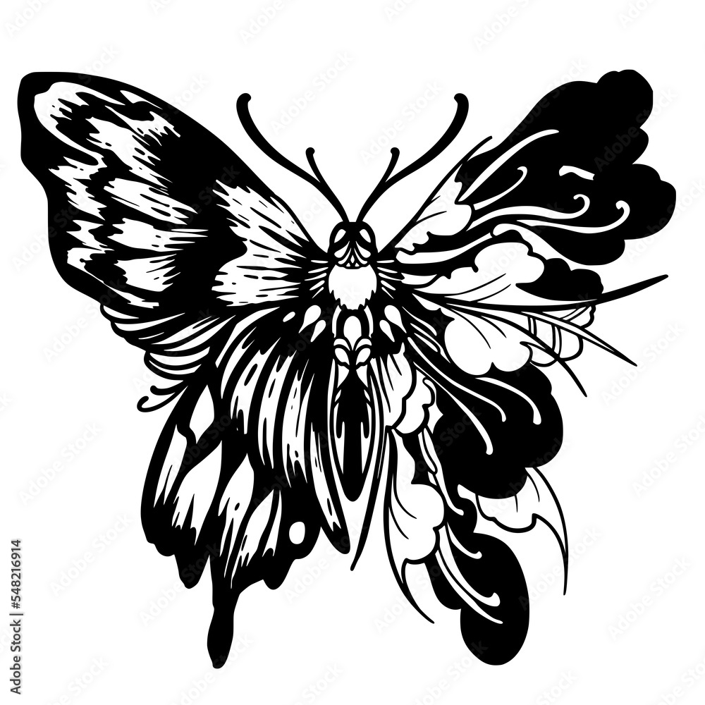 Obraz premium Butterfly