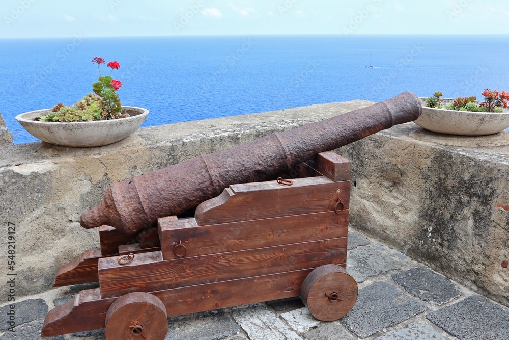 Scilla - Cannone a Castello Ruffo