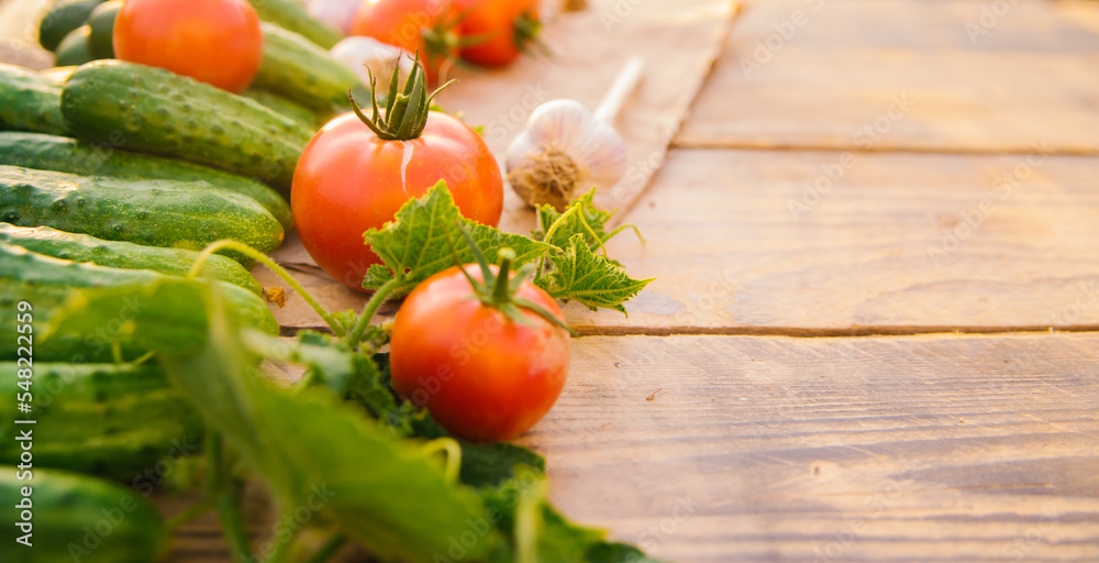 Fresh vegetables on a wooden background. Empty space for the text. Cucumbers, tomatoes, garlic, dill. Top view. Fresh vegetables on a wooden background. Empty space for the text. Cucumbers, tomatoes, garlic, dill. Top view.