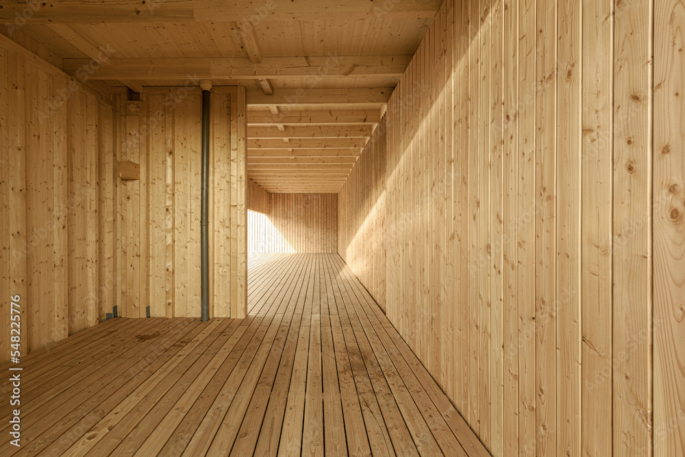 wood construction wall floor ceiling 3d
