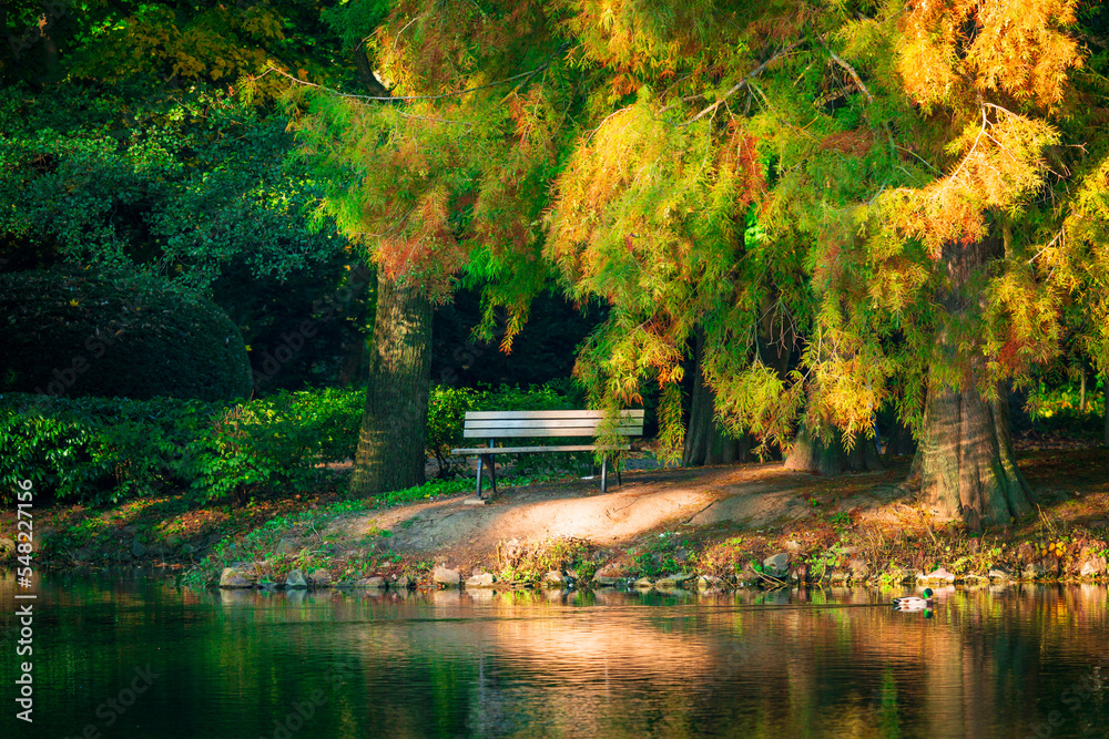 Empty bench in park. Wooden bench embedded inside the green plants Empty bench in park. Wooden bench embedded inside the green plants