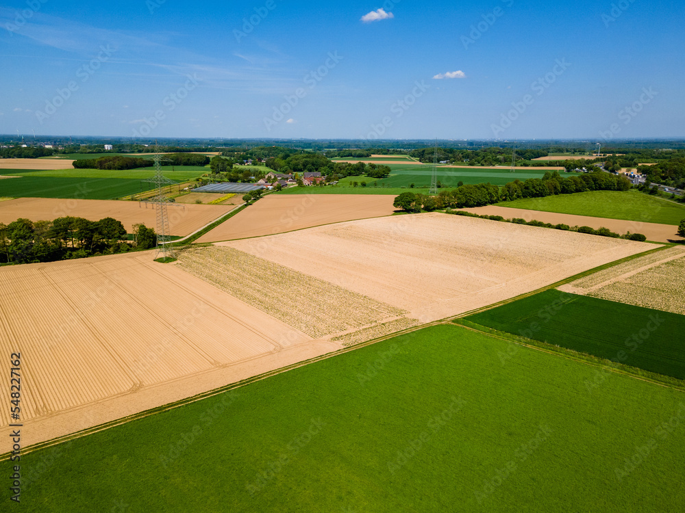 Farmland from above. Aerial view over green fields