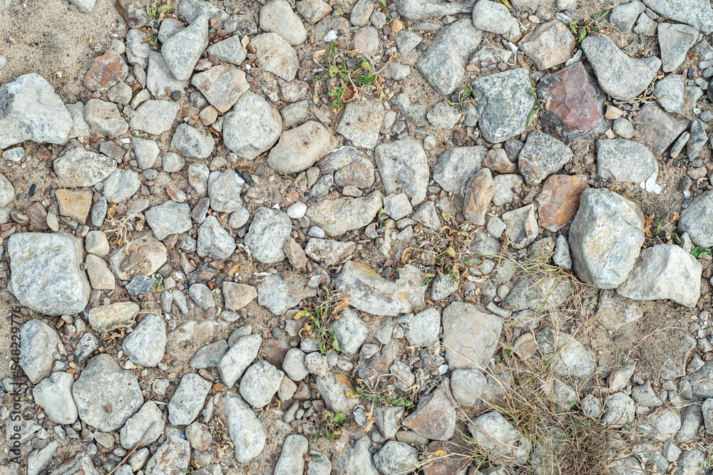 Background with stones scattered on the ground and small natural debris. Natural countryside background. Background with stones scattered on the ground and small natural debris. Natural countryside background.