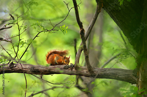 Asleep