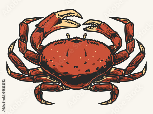 Sea crab detailed colorful sticker