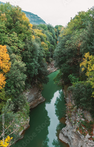 river in autumn forest