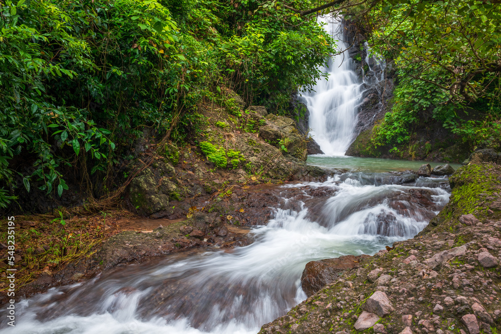 Fototapeta premium waterfall in the forest