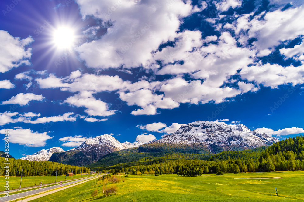 Green fields and Alps mountains coevered with forest, Samedan, M Green fields and Alps mountains coevered with forest, Samedan, M