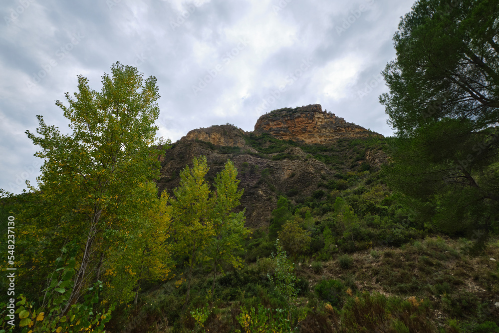 autumn forest against the backdrop of mountains