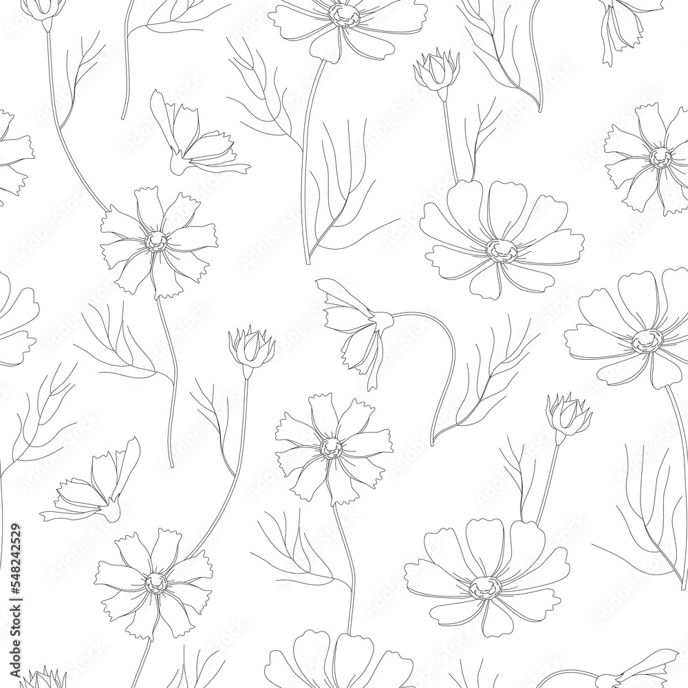 Fototapeta premium Seamless pattern of white cosmea flowers. Vector space floral botanical flowers. Black and white ink engraving. Seamless background pattern.