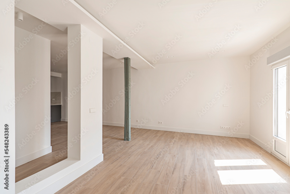 Fototapeta premium Empty room with large open space, old metal columns and minimalist design with smooth surfaces