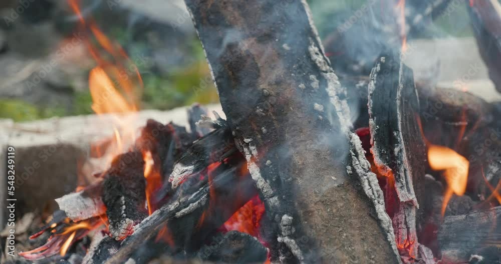 Camp fire. Close up.  High quality video 6k 10bit downscale 4k	