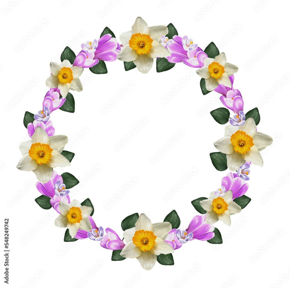 wreath of crocus flowers, daffodils, saffron wreath of crocus flowers, daffodils, saffron