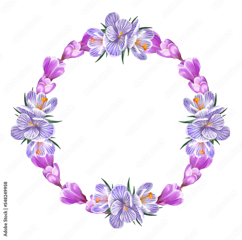 round frame of crocus flowers, saffron
