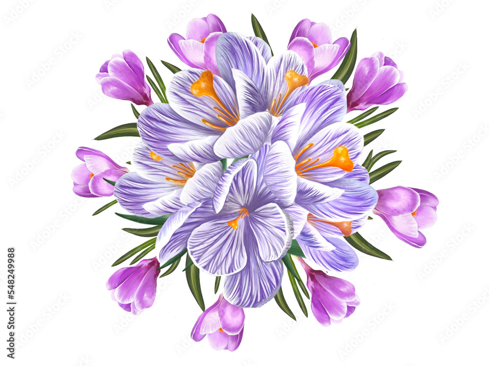 flower arrangement of crocus, saffron