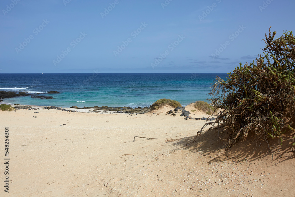 Sandy seashore of turquoise sea against cloudless sky Sandy seashore of turquoise sea against cloudless sky