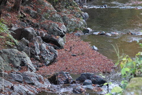京都　貴船神社の紅葉