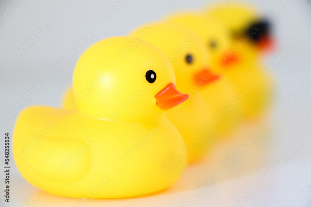 Four yellow rubber ducks in a line of four, get one’s ducks in a row Four yellow rubber ducks in a line of four, get one’s ducks in a row
