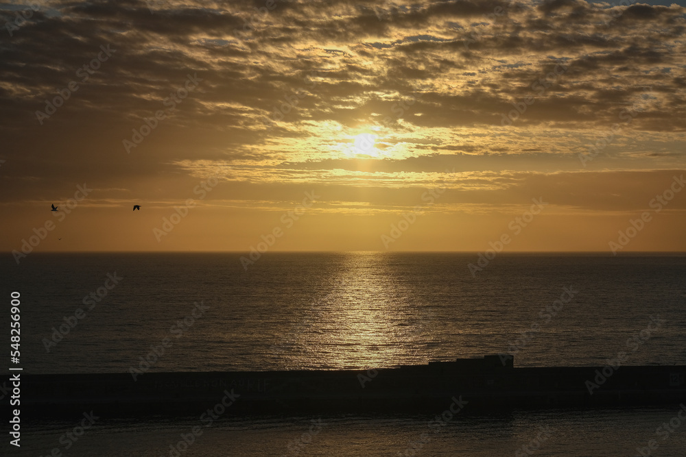 Naklejka premium Beautiful horizon sunrise sunset dusk dawn twilight blue hour over ocean sea with sea gulls nature seascape scenery