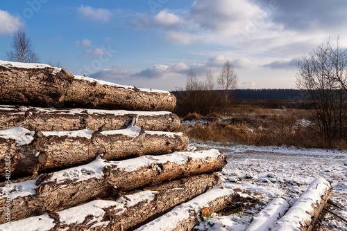 Łagodny początek zimy w Dolinie Narwi, Podlasie, Polska