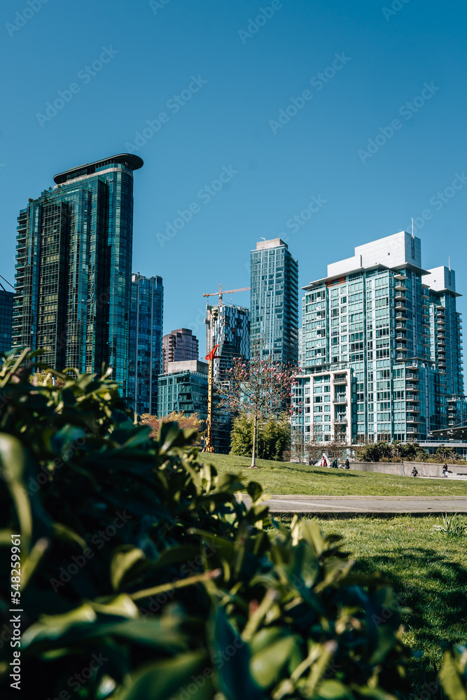 Obraz premium city skyline with the green park in vancouver canada