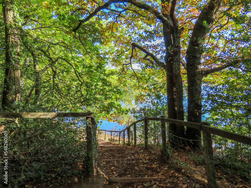 footpath though trees in Autumn with The River Hamble Hampshire England in the background