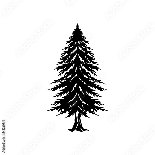 Natural silhouette of a redwood tree or tree pine silhouette vector logo. template tree isolated