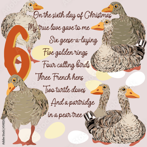 The twelve days of Christmas. Sixth day. Six geese-a-laying. Christmas concept.