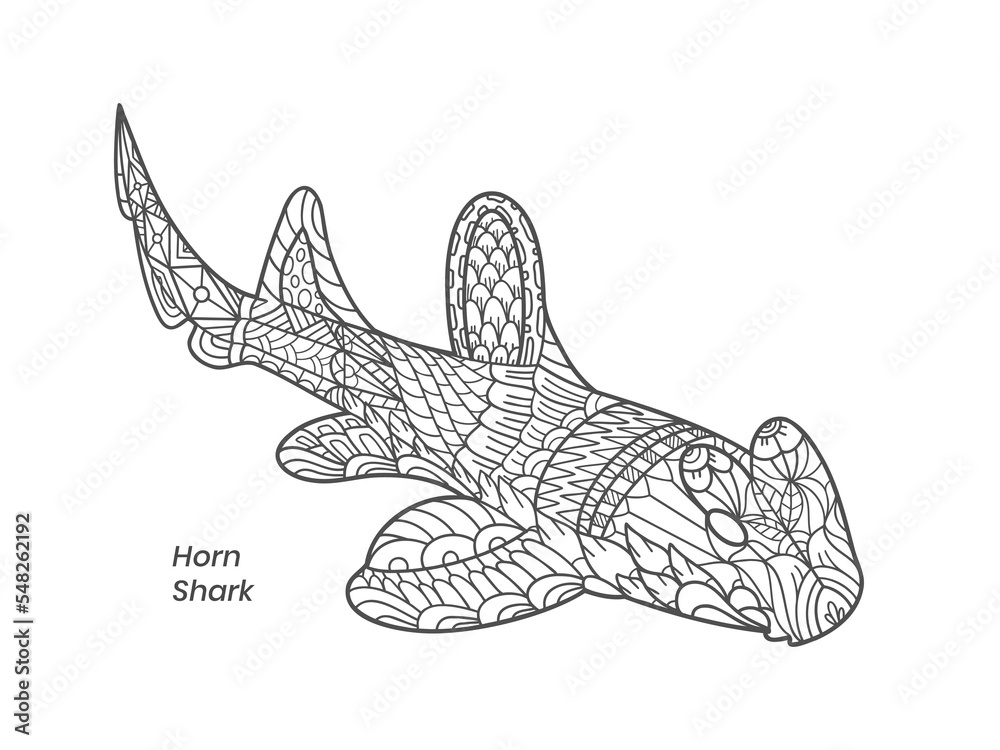 Horn shark zentangle illustration Stock Vector Adobe Stock