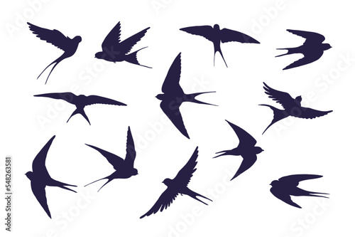 Swallow bird vector illustartions silhouette set. © GooseFrol