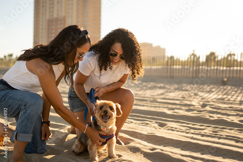 Hispanic lesbian couple pet dog on the beach photo