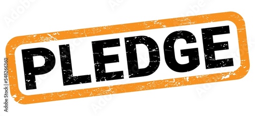 Canvastavla PLEDGE text written on orange-black rectangle stamp.