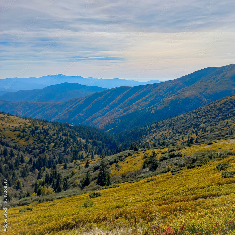 Fototapeta premium autumn in the mountains